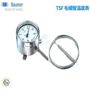 Sensor de Temperatura Baumer TSF Pt100 de 500 mm de Acero Inoxidable para Uso en la Industria Alimentaria - Product Image 3