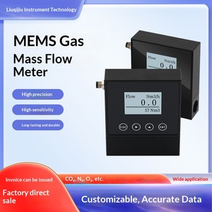 熱式ガス質量流量計 DN10 窒素酸素空気天然ガス MEMS 計測器 アルミニウム合金 カスタマイズ可能 +/-1.5% 精度 - Product Image 2