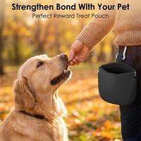 Sac à friandises pour chien, résistant aux intempéries, lavable au lave-vaisselle, avec fermeture magnétique en silicone, pour l'entraînement