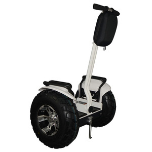 รถสกู๊ตเตอร์แบบคลาสสิกสองล้อทรงตัวอัตโนมัติ ยางใหญ่ 20 นิ้ว พร้อมหลังคา - Product Image 4
