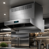 Hotte aspirante commerciale sans conduit en acier inoxydable avec filtre ESP pour cuisines de restaurant à forte aspiration de fumée et induction
