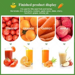 <strong>Small</strong> <strong>Juicer</strong> Make Pineapple Press Tomato Mango Extract Pulp Pulper Coconut Milk Fruit Juice Extractor Machine - Product Image 6