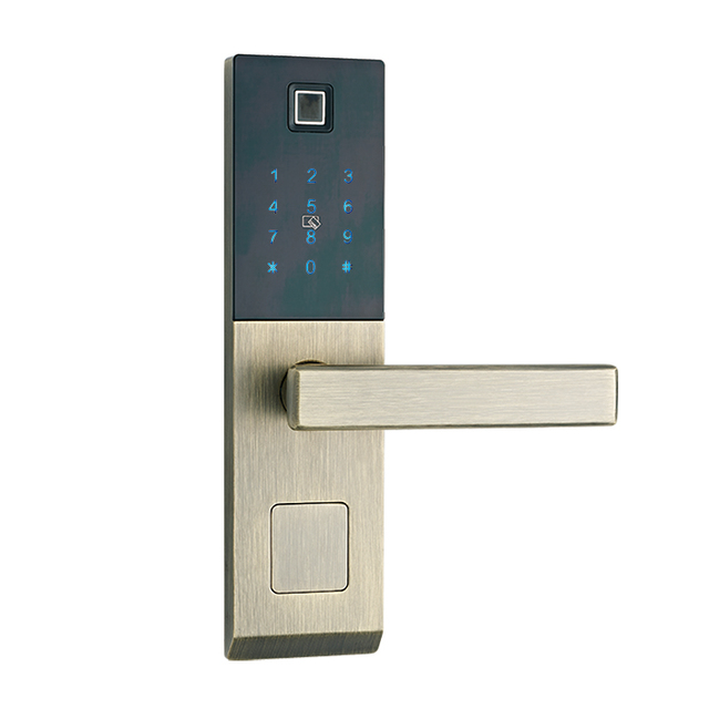 Ttlock Smart Door Lock Fingerprint Biometric Lock Keyless,Smart Password Lock