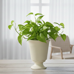 <span class=keywords><strong>Vaso</strong></span> Tulipano in Ceramica Scanalata <span class=keywords><strong>con</strong></span> Base a Piedistallo, Elegante Fioriera Bianca Scanalata per Fiori Freschi e Arredamento Casa - Product Image 2