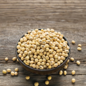 Soja Amarilla de Grado A, Sin OMG, Premium, 50 kg por Bolsa, Precios Competitivos para Mayoristas, Minoristas y Procesadores de Alimentos - Product Image 1