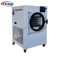 Équipement de séchage domestique compact pour bureau, 220V, à faible consommation d'énergie, faible bruit, avec roulement, pour la transformation alimentaire familiale