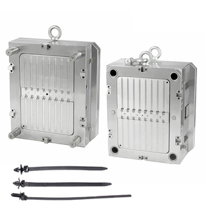 Tùy chỉnh nhà sản xuất khuôn tiêm công cụ khuôn mẫu cho Nylon Cable Tie - Product Image 6