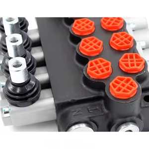 Válvula de Control Direccional Hidráulica de 4 Vías y Bloqueo Simple P40-G38 Manual |   Fabricante OEM y Proveedor Global - Product Image 5