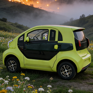 Auto Eléctrico Shengyouyuan, 50kW, 100Nm de Torque, Batería de 30kWh, 60V/72V, 400kg de Masa Total, Autonomía NEDC de <100km - Product Image 5