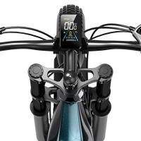 Bicicleta Eléctrica de Doble Motor 48V 25AH con Neumáticos Anchos de 26 Pulgadas, 7 Velocidades, Freno de Disco Hidráulico, Pantalla a Color, para Subir Pendientes, Venta al por Mayor OEM