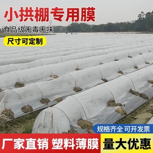 Small Arched Greenhouse Plastic Film 0.02mm Thickness White PE Film For Vegetable Planting Agricultural Heat Preservation - Product Image 4