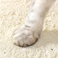 Litière pour chat en manioc naturel à base de plantes, agglomération rapide, faible poussière, contrôle des odeurs, cadeau de Noël, fournitures essentielles pour animaux de compagnie