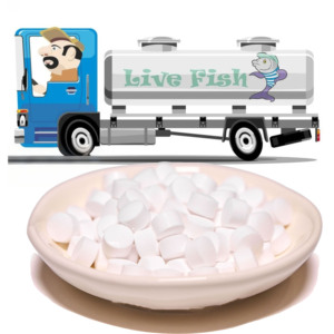 Augmentation rapide de l'oxygène dissous dans les comprimés d'oxygène de l'eau pour le <span class=keywords><strong>transport</strong></span> à longue distance d'animaux aquatiques - Product Image 1