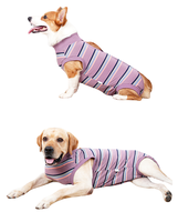 Combinaison de récupération post-opératoire pour chien, unisexe, pour mâles et femelles, vêtements physiologiques, protection anti-léchage des plaies