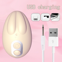 Vente en gros de jouets pour adultes imperméables pour femmes, vibrateurs avec moteur puissant, USB-C, fabricant OEM