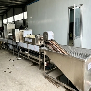 Ligne de production d'œufs électrique automatique avec pasteurisateur haute capacité 15-30 sacs/heure 380V Nouveau - Product Image 5