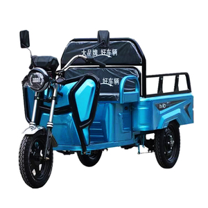 Tricycle à moteur central pour adulte, 3 roues, pneus de vélo, mini, 2023, vente chaude, de Chine - Product Image 3