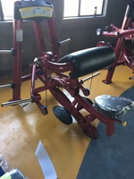 Equipo de Gimnasio Comercial para Bíceps, Máquina de Curl de Bíceps Hammer Strength