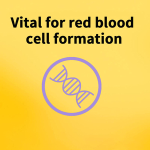 Comprimés de supplément de fer biologique personnalisé soins de santé Vitamine C Compléments nutritionnels Vitamine Soutien Comprimés de fer - Product Image 2