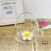 Bol en verre oblique épaissi créatif haute transparence micro-paysage décoration vase en verre de table