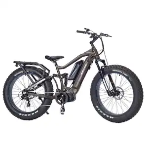 남자, 언덕 moutan ebike, 강력한 배터리 자전거와 48V 1000 W에 대한 산 전기 자전거.