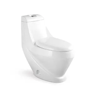 China Factory Supplier One Piece Toilet Bowl,SASO Certification WC Washdown Toilet for Middle East Saudi Arabia Market