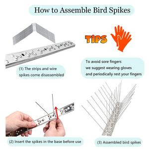 Piques <span class=keywords><strong>anti</strong></span>-oiseaux écologiques en acier inoxydable, répulsif <span class=keywords><strong>anti</strong></span>-pigeons, piques solides pour le contrôle des nuisibles - Product Image 6
