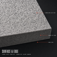 Dalles de terrasse modernes gris clair flammé, antidérapantes, résistantes à l'usure, durables, écologiques et robustes pour aménagement extérieur et patios