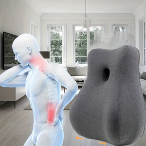 Coussin de soutien lombaire gris foncé en polyester pour soulager les maux de dos - Product Image 1