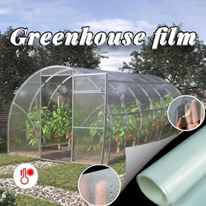 Factory Direct Sales 1000m Transparent Greenhouse Plastic Film For Vegetable Garden