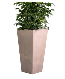 Vente <span class=keywords><strong>en</strong></span> gros Grande jardinière <span class=keywords><strong>d</strong></span>'extérieur Pots de fleurs rectangulaires <span class=keywords><strong>d</strong></span>'intérieur et <span class=keywords><strong>d</strong></span>'extérieur pour <span class=keywords><strong>porte</strong></span> <span class=keywords><strong>d</strong></span>'<span class=keywords><strong>entrée</strong></span> - Product Image 4