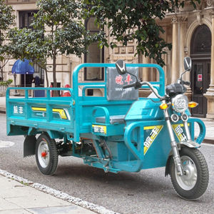 WF1500DZH 2 미터 전기화물 자전거 3 륜 오픈 자전거 전기 오토바이 전기 세발 자전거 - Product Image 6