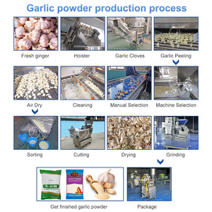 Máquina de proceso de polvo de ajo OCEAN, planta de proceso de cáscara de ajo automática, línea de producción de polvo de ajo - Product Image 2