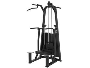 Máquina de Ejercicio Comercial al por Mayor para Gimnasio: Estación de Dominadas y Dips de Barra Simple o Doble - Product Image 1