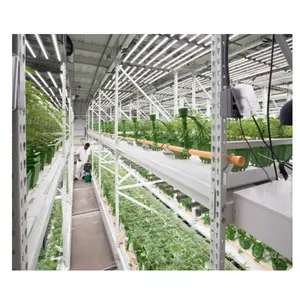 Sistema de cultivo de contenedores hidropónicos automático, sistema de cultivo hidropónico NfT para vegetales