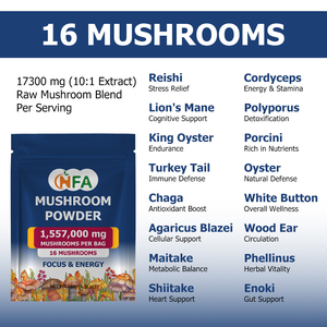 ผงเห็ดคุณภาพสูง OEM ซื้อจำนวนมาก เสริมภูมิคุ้มกัน บำรุงสมอง เพิ่มพลังงาน มีเห็ด 16 ชนิด - Product Image 4