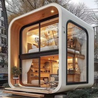 Cabane préfabriquée 20/40 pieds Maisons conteneur de vie de jardin Maisons extérieures en verre mur Apple Cabin conteneur bureau 20 pieds