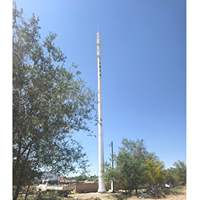 Tour monopoteau en acier pour télécommunications, tour monotube, mât d'antenne 4G 5G, poteau unique pour réseau de télécommunications