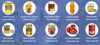 LWT Automatische productielijn voor ingeblikte blikken met bonen, fruit, groenten en snoepjes