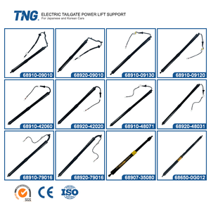 Tng nhà máy điện cổng sau nâng hỗ trợ <span class=keywords><strong>gas</strong></span> strut cho Toyota Lexus Honda Mazda Hyundai Kia Ford Chevrolet Buick geely BYD - Product Image 5