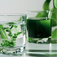 Chlorophylle liquide biologique en gros, gouttes, stimulant énergétique, soutien du système immunitaire, ingrédient actif vitaminique issu de feuilles, qualité alimentaire