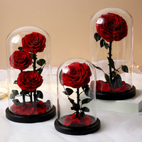 Fleurs fraîches éternelles faites à la main sous cloche en verre, taille personnalisable, lumière chaude, Saint-Valentin, Pâques