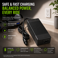 Chargeur de scooter électrique 60V 2A, batterie au lithium, matériau ABS ignifuge, éclairage LED, sortie stable, protection multiple