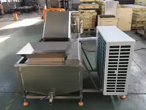 High Output Fish Ice Glazing Equipment Ice Coating Machine For Fish Price