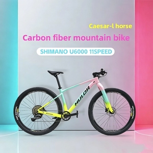 Bicicletta <span class=keywords><strong>in</strong></span> Carbonio FLM CAESAR 29er MTB a 11 Velocità con Freni Idraulici e Forcella Rigida OEM - Product Image 6