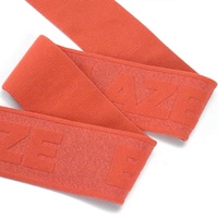 Bande Jacquard Souple Personnalisée à Haute Élasticité Gaufrée pour Garniture de Vêtements de Sport et Ruban Tissé