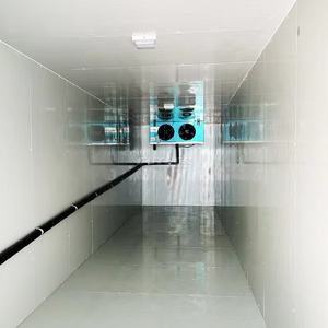 Contenedor Refrigerado de 40 Pies (40ft) con Congelador y Sistema Solar, Precio de Venta para Contenedores de 20 Pies - Product Image 1