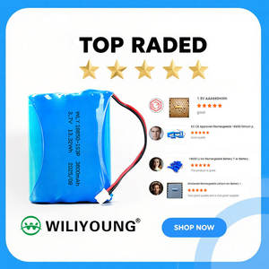 <span class=keywords><strong>18650</strong></span> <span class=keywords><strong>5S1P</strong></span> 18,5V <span class=keywords><strong>2200mAh</strong></span> 2500mAh 3000mAh 3500mAh Lithium-Ionen-Zylindrischer Akkupack Mit PCM und Ausbalancierter Aufladung - Product Image 3