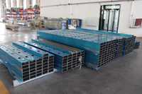 Goulotte métallique pour câbles avec revêtement en poudre, conforme RoHS et ISO, pour la gestion des câbles en intérieur, fournie directement par l'usine