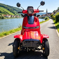 Scooter de mobilité puissant 1000W 60V pour extérieur, 4 roues, loisirs, personnes âgées, autonomie 60km, charge lourde